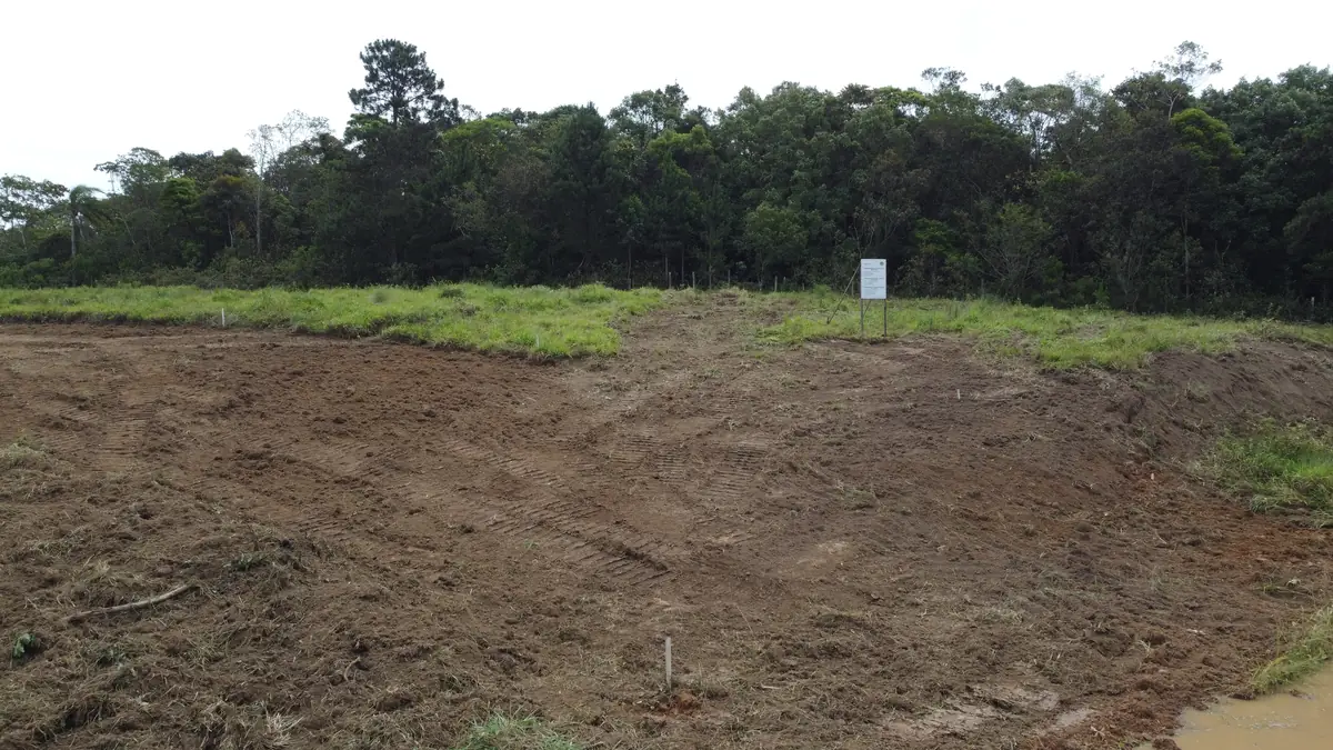 Frente de terraplanagem com o solo revolvido e a mata preservada logo atrás